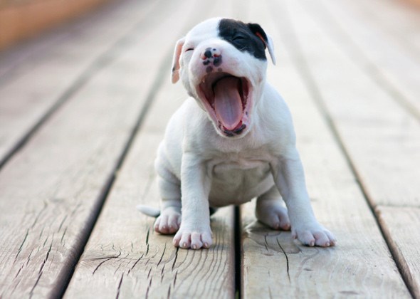 uh, još jedan Ponedjeljak..