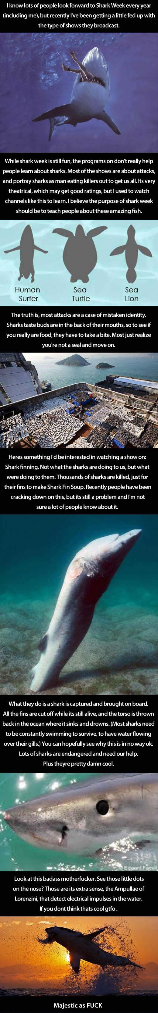 Ljudi su nevjerojatno okrutna čudovišta