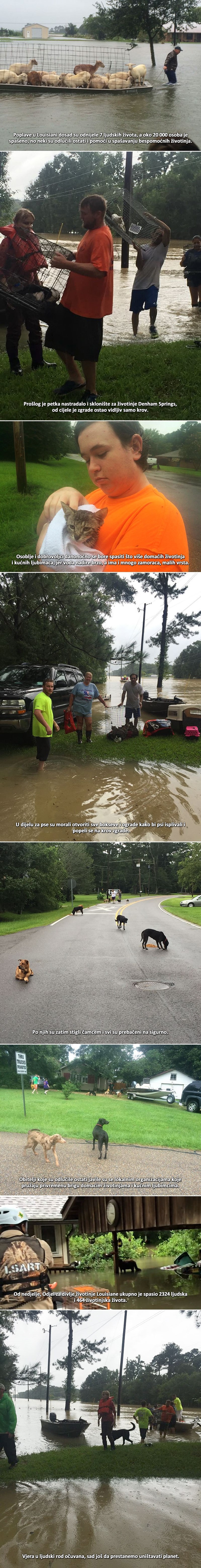 Ljudi odbili pobjeći iz smrtonosne poplave, riskiraju živote da životinje spase od utapanja