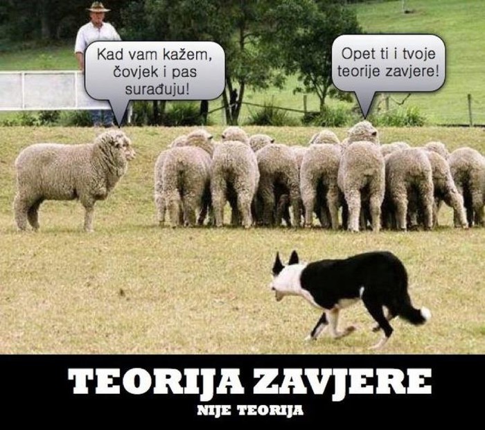 Ovca Mulder otkrila zavjeru čovjeka i psa