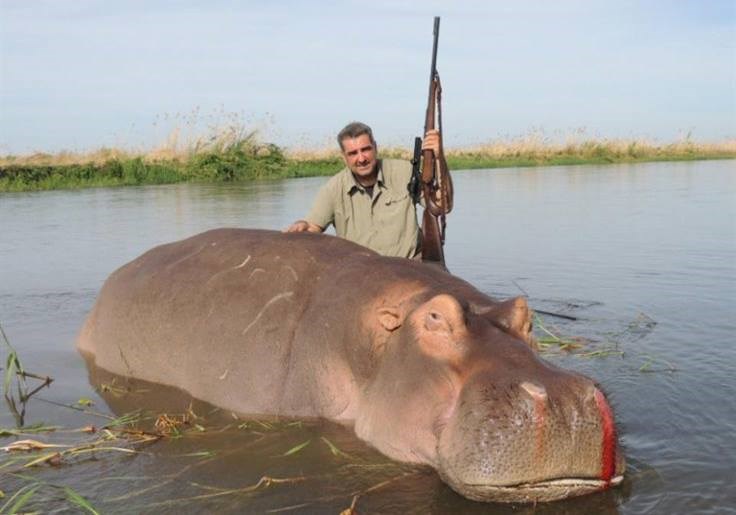 smrdljivi ameri, jelda?