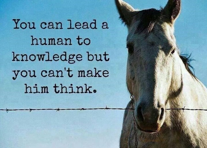 Imamo Google, a sve više budala