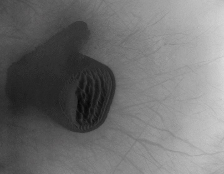 Facebook odsad i "na Marsu": "Like" dina snimljena iz orbite