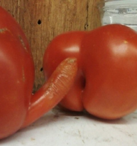 Stvoreni jedno za drugo