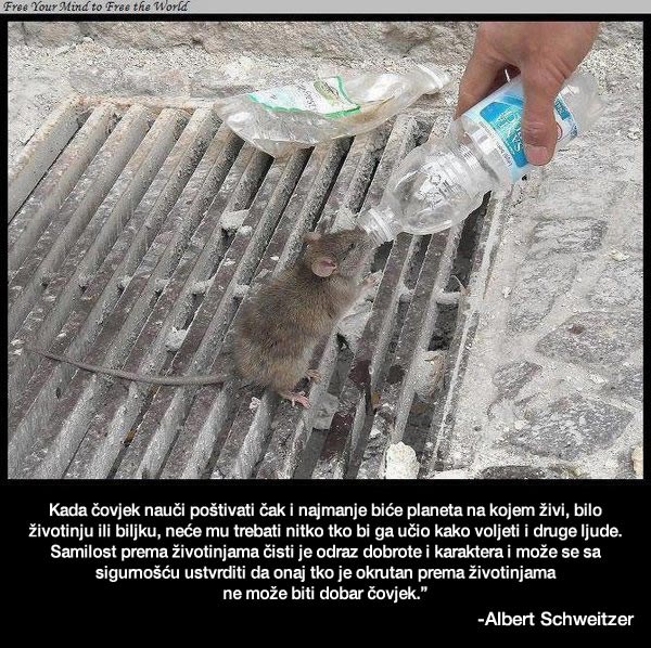 Tko je okrutan prema životinjama, ne može biti dobar čovjek