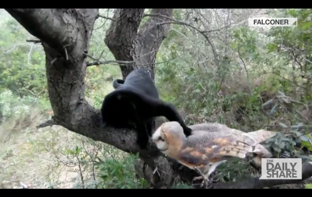 VIDEO: Svaki je dan nova avantura za ove najbolje prijatelje