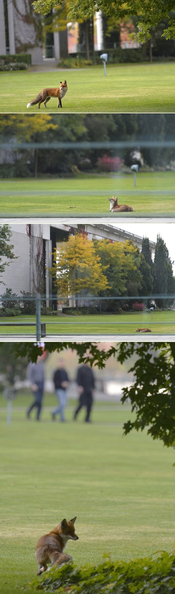 Lija došetala u park u Berlinu, usput malo i odrijemala