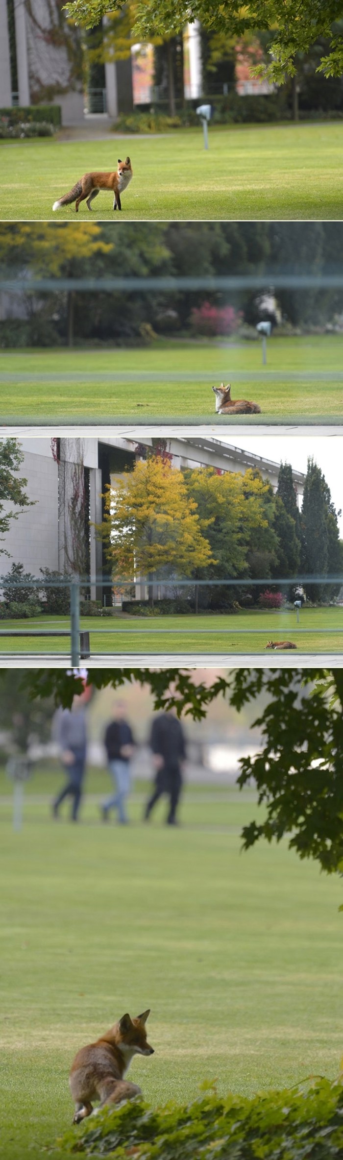 Lija došetala u park u Berlinu, usput malo i odrijemala