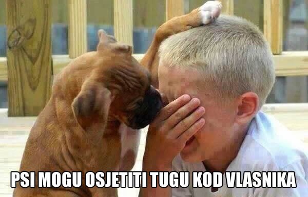 Pas zna kad si tužan i kad trebaš utjehu