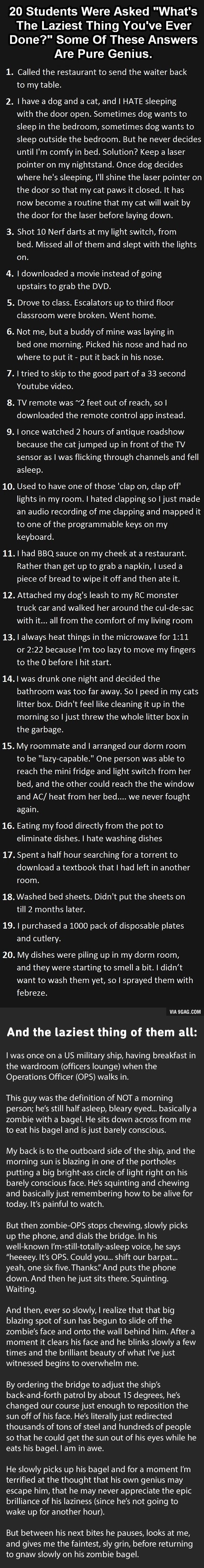 Najveće ljenčine na svijetu priznaju svoje grijehe