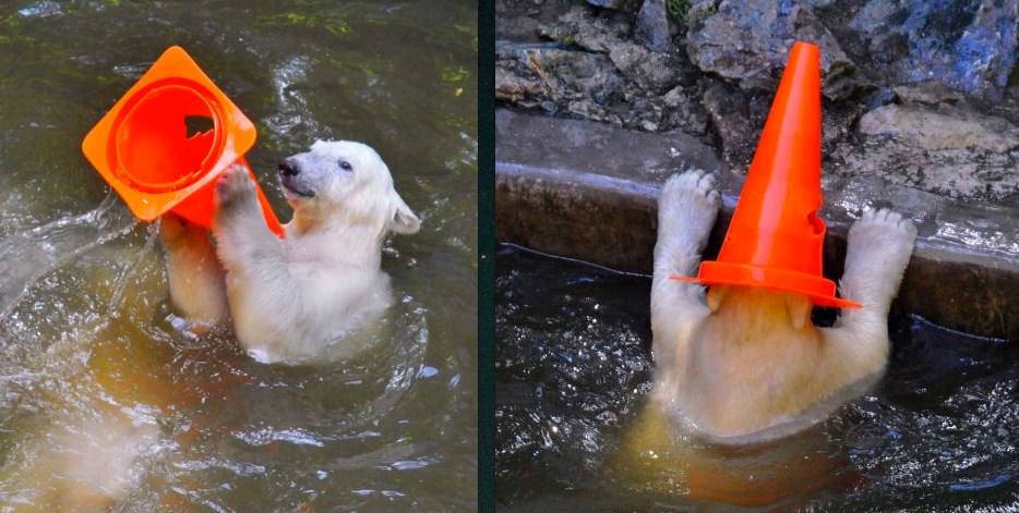 Medo ima čudan smisao za igru