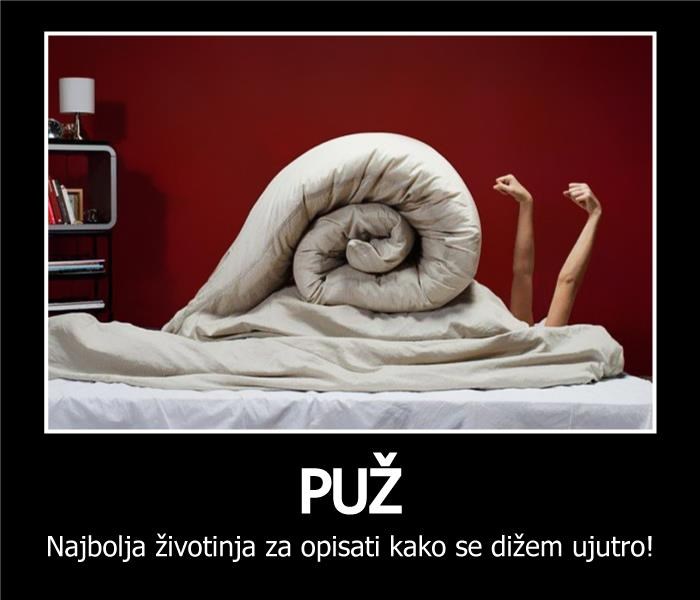 Izgleda li i tvoje buđenje ovako?