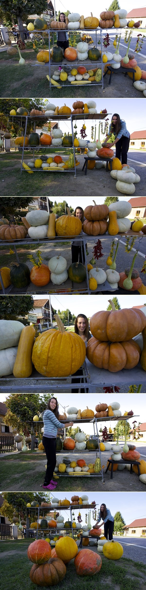 Jesen donijela šarene bundeve