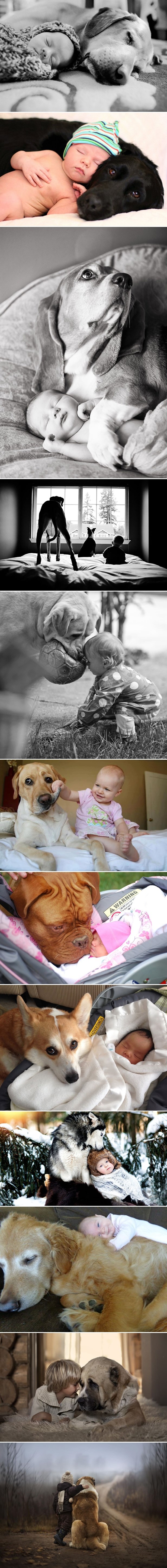 Galerija: Bebači i njihovi vjerni zaštitnici