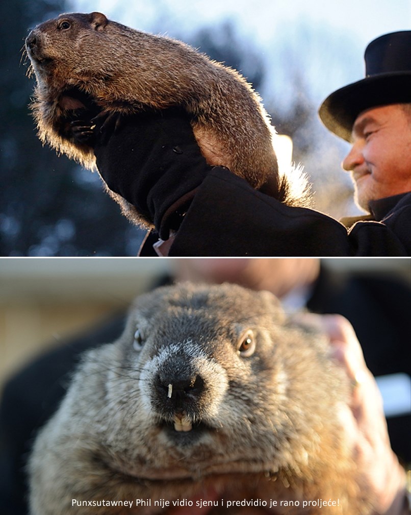 Svizac je dao svoje predviđanje, nastavlja li se zime ili će proljeće!?