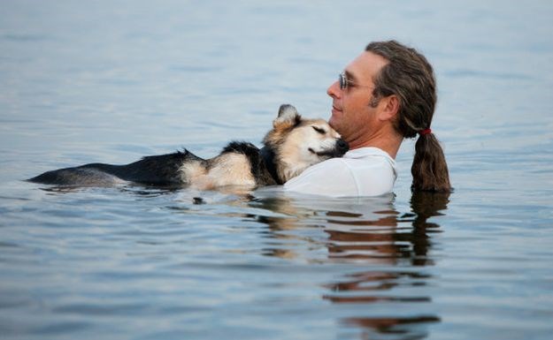 Članak: John ima novog psa i novi razlog za sreću