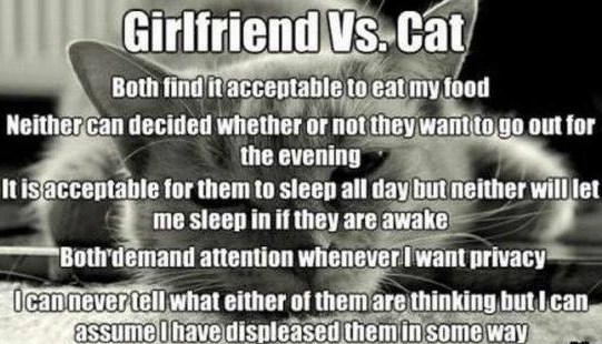 Mačke i žene su posve jednake: Nije lako muškarcima...