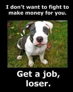 Luzeri, ne iskorištavajte pitbulla zbog svoje lijenosti