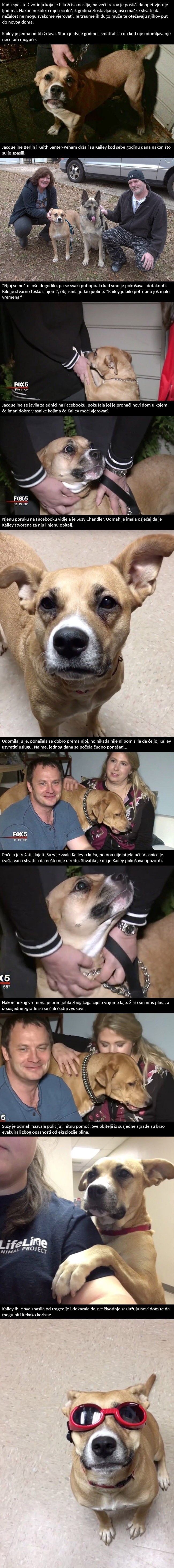 Spašeni pas nije htio prestati lajati, kad su shvati zašto, odmah su zvali pomoć!