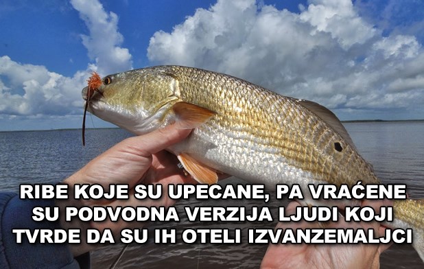 Ribama su "alieni" - ljudi