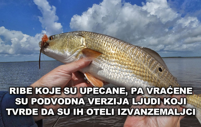 Ribama su "alieni" - ljudi