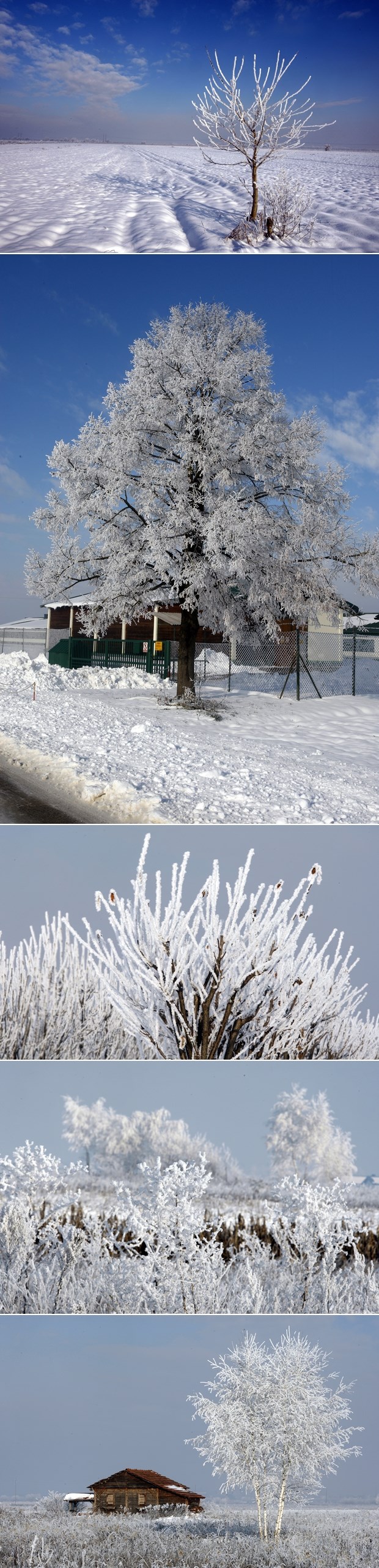 Ledena varaždinska zimska idila