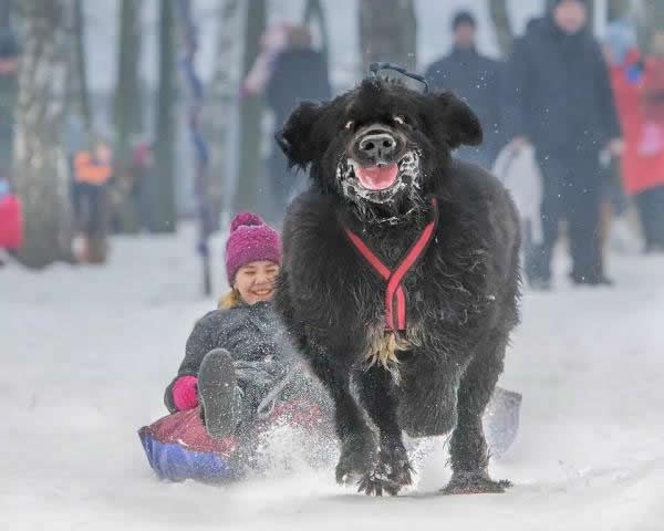 Ne znaš tko od njih dvoje sretniji
