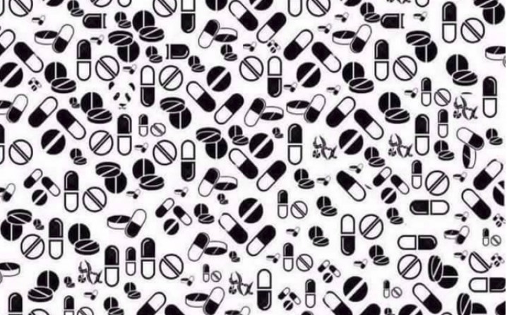 NAJTEŽI 'panda test' dosad: Pronađi pandu za 10 sekundi