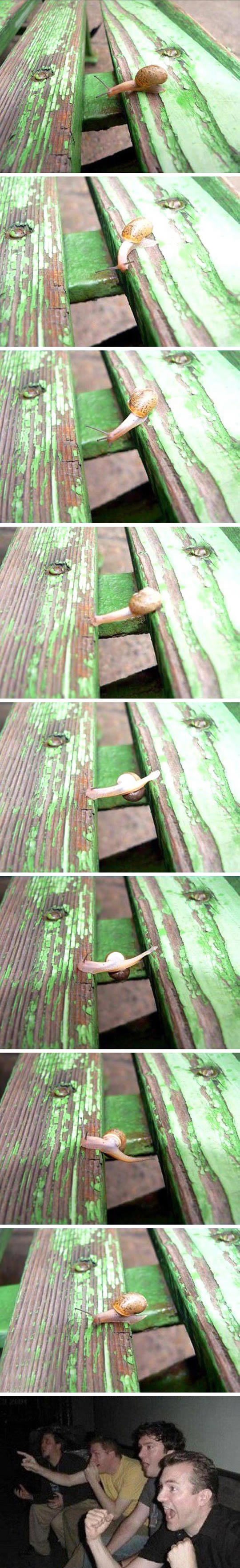 Puž s čeličnim mudima savladao nemoguće!