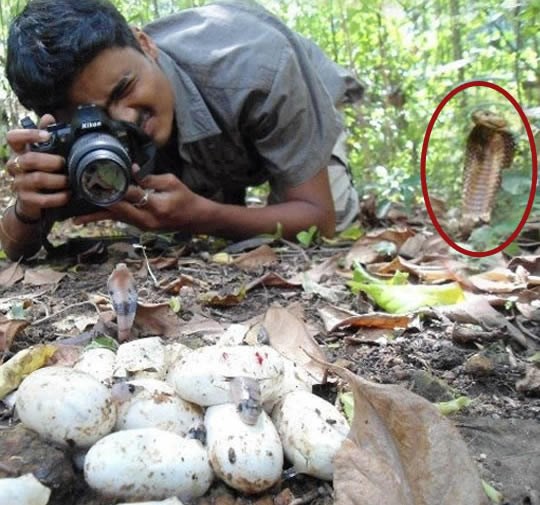 Čelična muda, ali možda da ipak nabaviš dobar zoom?