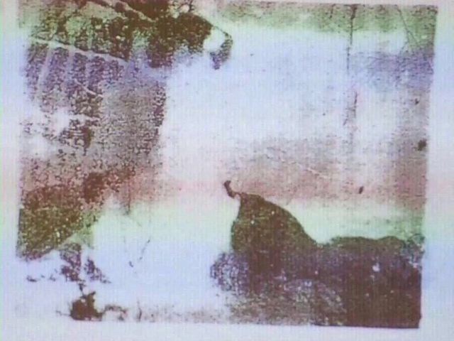 ŠTO VIDITE NA SLICI? Neki od vas će zagonetku brzo riješiti, dok drugi nikada neće otkriti tajnu