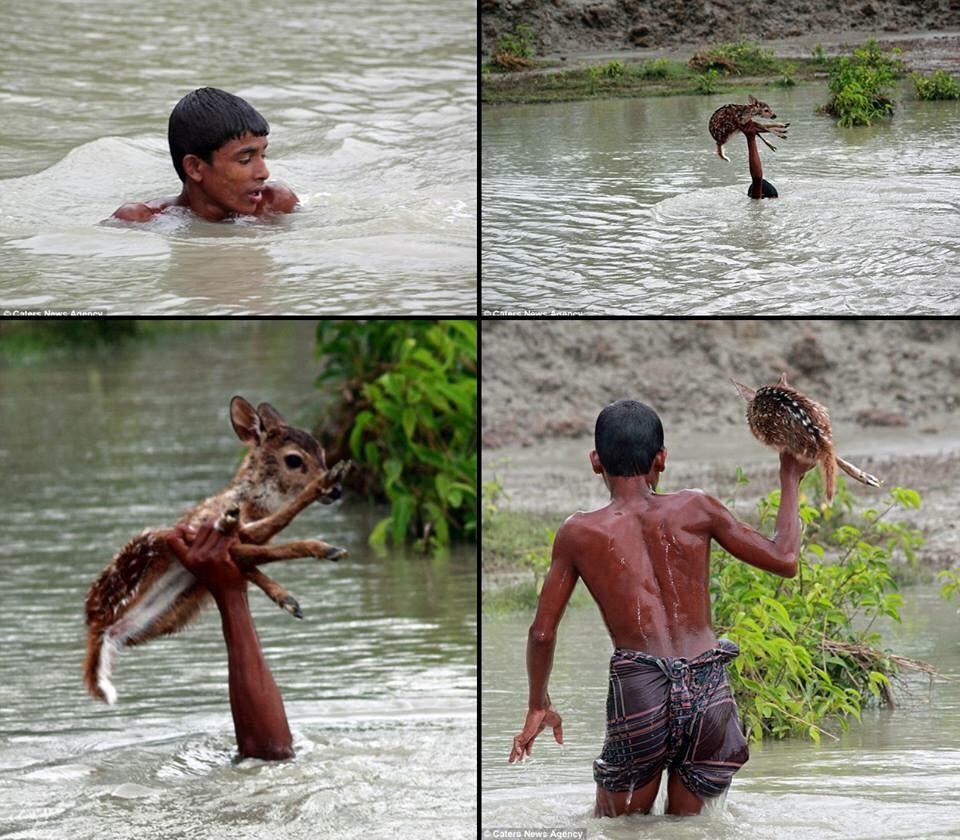 Dječak iz Bangladeša riskirao život da spasi "Bambija"