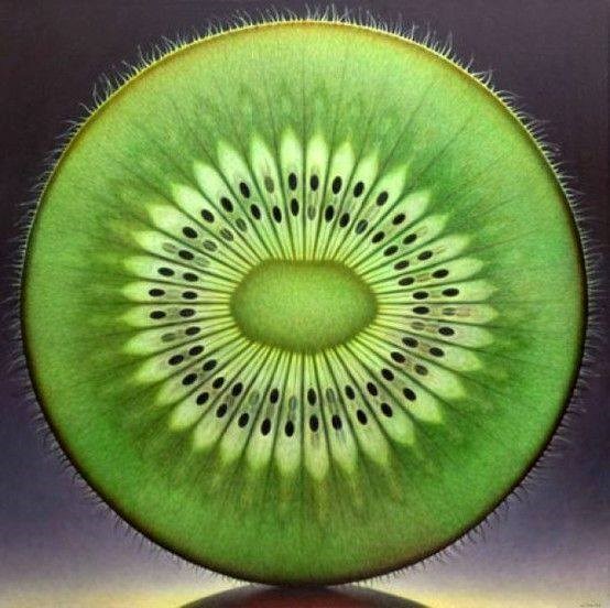 Priroda ima smisla za lijepo