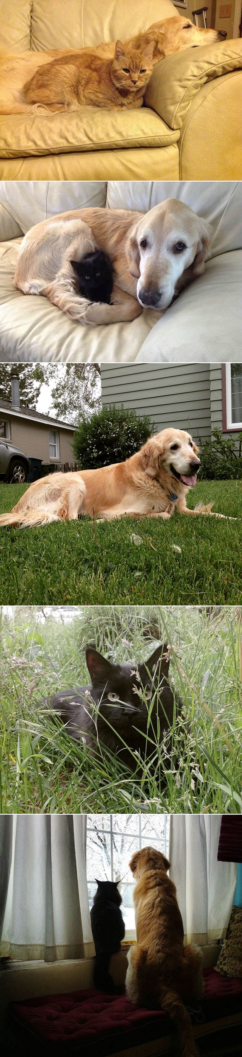 Niste znali da se ovo i životinjama događa?