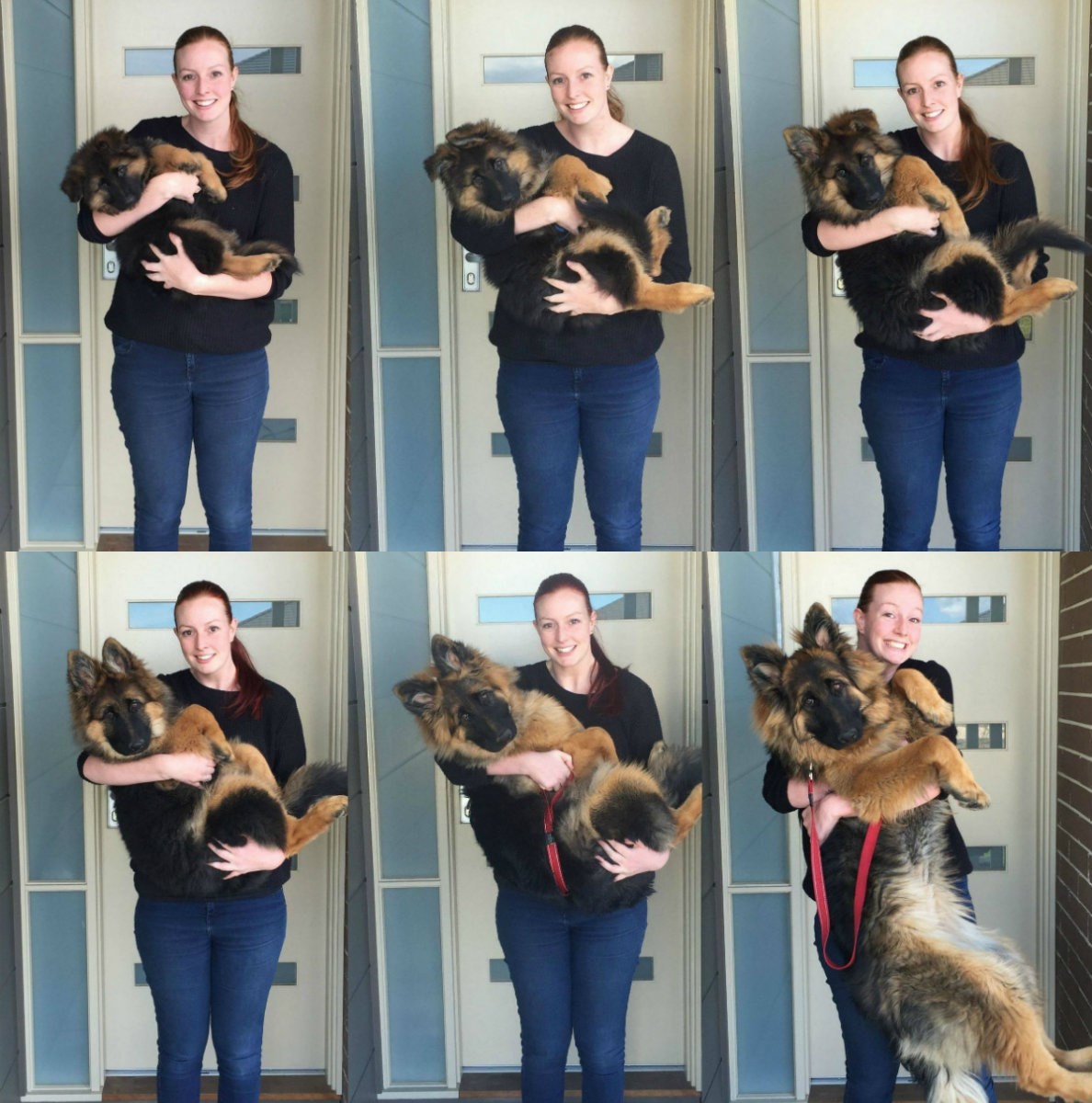 U šest mjeseci od male maze do velike cure!