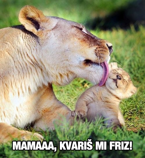 Kad si umisle da su već veliki, pa krenu gunđati