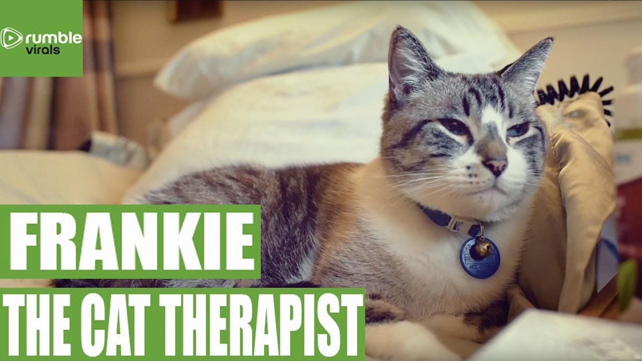 VIDEO: Najdivniji terapeut na svijetu - Frankie Blue Eyes