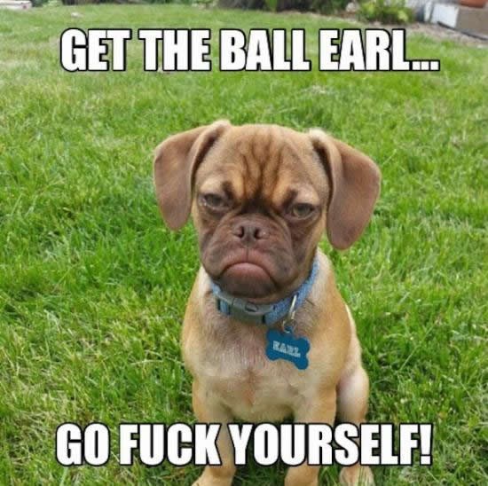 Kad psa zezaš da si bacila lopticu, a nisi..