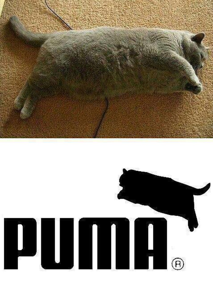 Linija za ugodno popunjene
