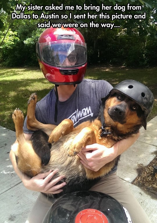 Napol zbunjen, napol sretan