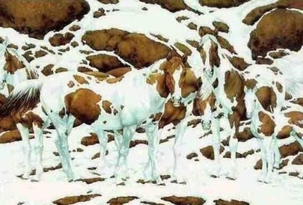 Test za vid: Koliko konja vidite na slici?