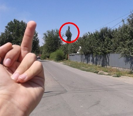 Priroda ima poruku za tebe