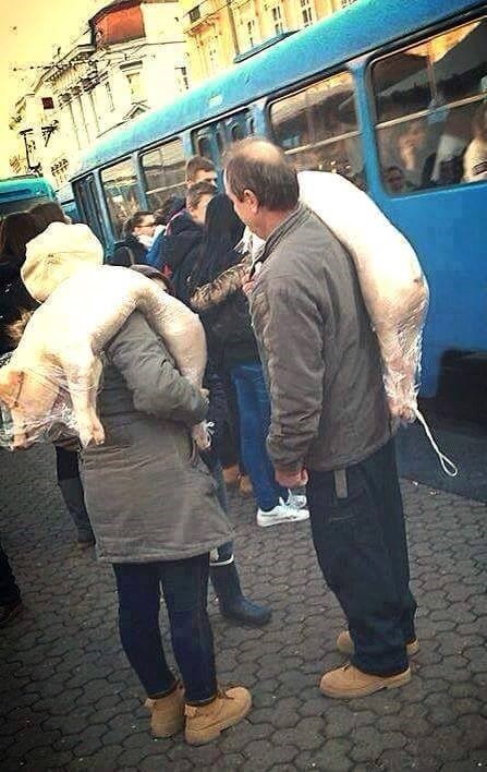 Ljudskoj gluposti nema granice :)