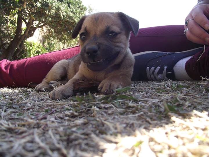 Grrr, vidi me što glumim opakog frajera!