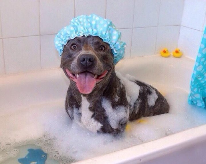 Nedjelja je za uživanciju