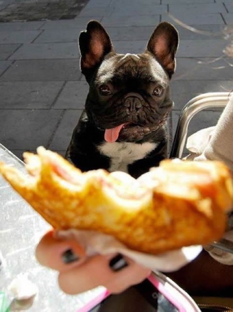 Slušaj moj um.. želiš mi dati sendvič!