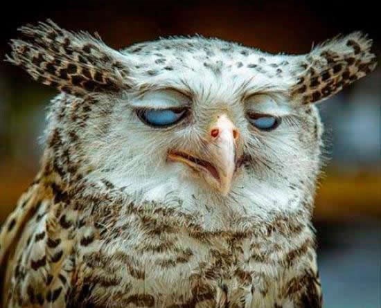 Kad ti se piški i konačno stigneš do WC-a