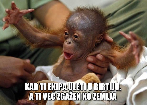 Kad konačno pijan dočekaš frendove