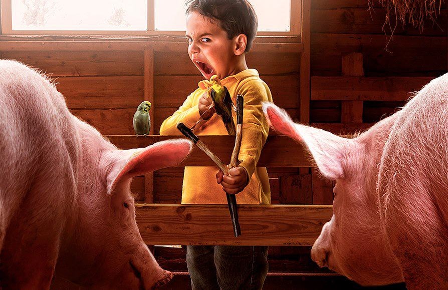 Angry Birds kad pobrkaš igricu i stvarnost