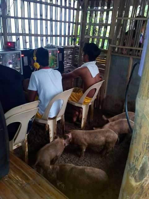 Filipinski internet cafe izgleda kao pravi svinjac